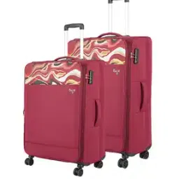 baggit Set of 2 Men Printed Trolleys-picture-15