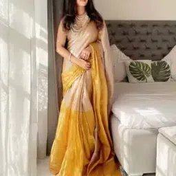 ri-wah Tassels and Latkans Tissue Saree -picture-14