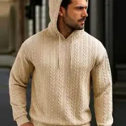 Men Regular Fit Hooded Sweatshirt-image-19