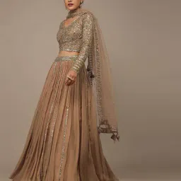 fab window Women Embellished Lehenga with Choli & Dupatta image 1