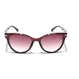 eyejack Women UV-Protected Cat-Eye Sunglasses-90160-picture-22