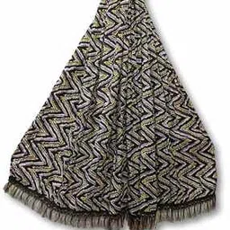molcha by babita singh Women Chevron Print Dupatta with Fringes-picture-31