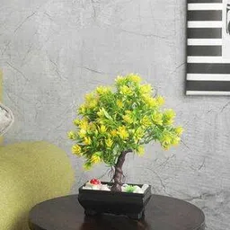 foliyaj Branched Bonsai Tree with Pots-picture-25