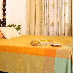peepul tree 150 TC Colourblock Queen Bedsheet -picture-48