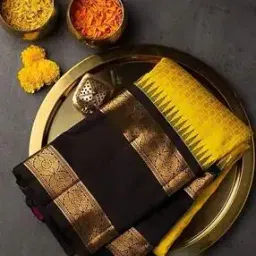 bermondsey Woven Banarasi Saree with Contrast Border-picture-11