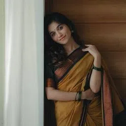 paramparik textile Women Woven Saree with Zari Border-picture-51