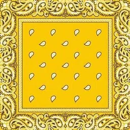 navkar crafts Unisex Cotton Paisley Bandanas-picture-48