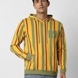 peter england Men Striped Regular Fit Hoodie with Drawstring-picture-15