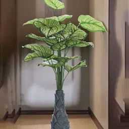foliyaj 18 Leaf Money Plant Bunch with Floor Base image 1