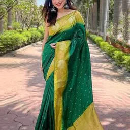 indie picks Graceful Pure Art Silk Saree with Blouse Piece -picture-14