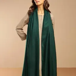 fabindia Women Woven Shawl image 1