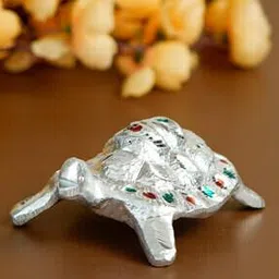 ecraftindia Silver Engraved Tortoise Feng Shui-picture-52