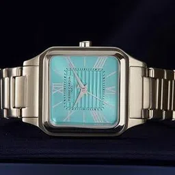 pierre cardin Men Water-Resistant Analogue Watch-CF.1006.MS.1-picture-13