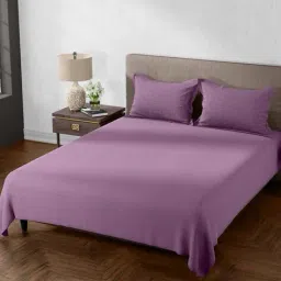 portico Printed King Size Bedsheet with Pillow Covers image 1