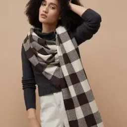 ginger by lifestyle Women Geometric Pattern Woven Stole-picture-29