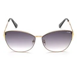 irus Women UV-Protected Butterfly Sunglasses - IRS1072C4SG-picture-16