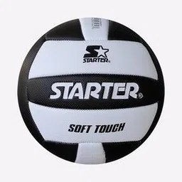 starter Volleyball-picture-18