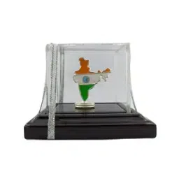 silverspot jewel Tricolour India Map Idol-picture-12