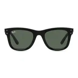 ray-ban Men UV-Protected Wayfarers-0RBR0502S-picture-26