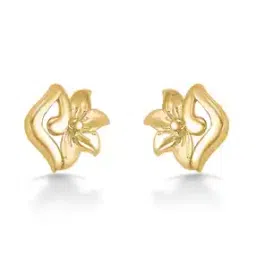 p n gadgil jewellers Women Yellow Gold Stud Earrings-picture-36