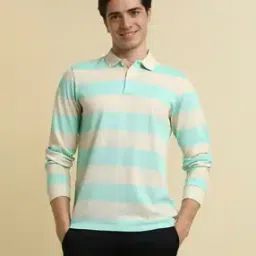 allen solly Men Striped Regular Fit Polo T-Shirt-picture-41