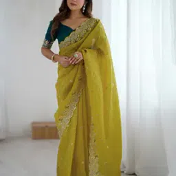 Women Satrani Tissue Silk Saree -picture-39