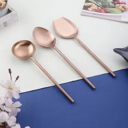 vareesha Set of 3 Stainless Steel Serving Spoons-picture-44