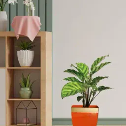 ecofynd Metal Tapered Planter image 1