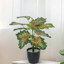 home bloom Artificial Philodendron Plant-picture-51