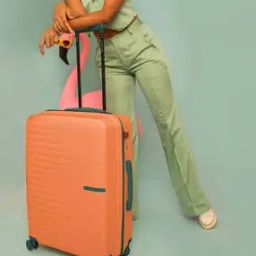 nasher miles Havelock Hardside Luggage Bag with TSA Lock- L-picture-22