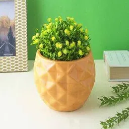 the decor mart Table Top Ceramic Planter-picture-19
