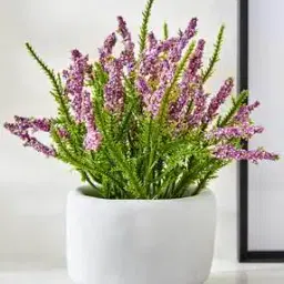 Gloria Bud Pine Needle Flowers in Cement Pot-image-30