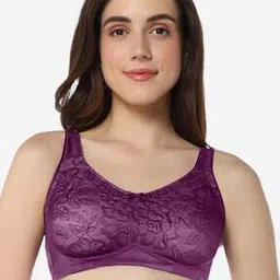 amante Non-Padded Non-Wired Full Coverage Elegant Lace Support Bra  - BRA101301-picture-20