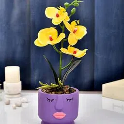tayhaa Face Planter with Artificial Orchids-picture-16