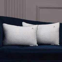 sleepstore Set of 4 Supportive Cushion 12" X 18" image 1