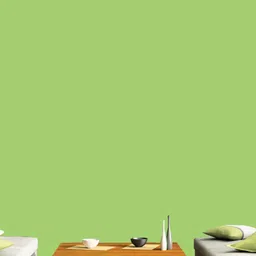 Jaamso Royals Green Self Adhesive & Waterproof Wallpaper-image-51