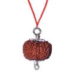 uspto चौदह मुखी रुद्राक्ष ओरिजिनल लैब सर्टिफाइड सिल्वर पेंडंट Chaudah Mukhi Rudraksha Pendant 14 Face of Indonesian Original Rudraksha Beads Lab Certified for Men & Women Wearing Purpose image 1