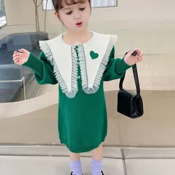 FOREVER FRIDAY Girls Round Neck A-Line Dress-image-16