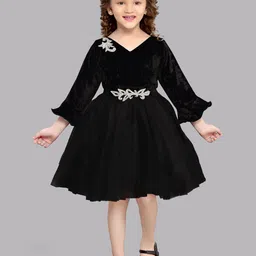 Pink Chick Girls Net Fit & Flare Dress-picture-24