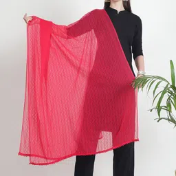 LOOM LEGACY Ethnic Motifs Embroidered Dupatta with Thread Work-picture-29