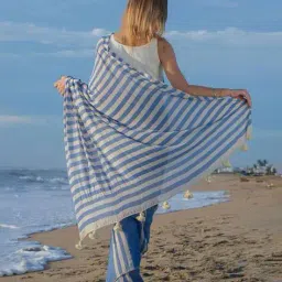 indie picks Strip Print Linen Cotton Saree  image 2