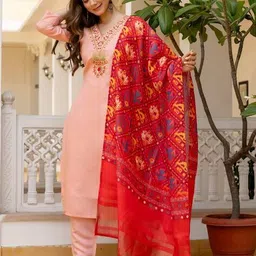 18india Women Embroidered Straight Kurta Set image 2