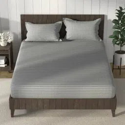 nautica Cotton Bedsheet with 2 Pillow Covers image 2