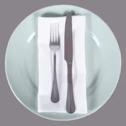 foveros Set of 12 Cotton Dinner Table Napkins image 2