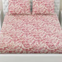 haus & kinder 150 TC Printed King-Size Bedsheet with Pillow Covers image 2