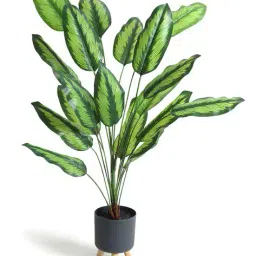 habere india Artificial Plant with Pot image 2