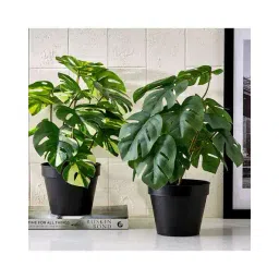 home centre Gloria Terra Artificial Monstera Plant in Pot image 2