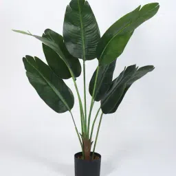 home bloom Decoration Artificial Banana Plants  image 2