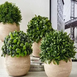 home centre Gloria Bond Artificial Coral Cactus Plant in Paper Mache Pot image 2