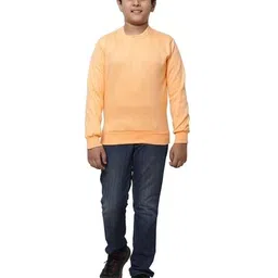 pixie n prince Boys Regular Fit Round Neck Sweatshirt  image 2